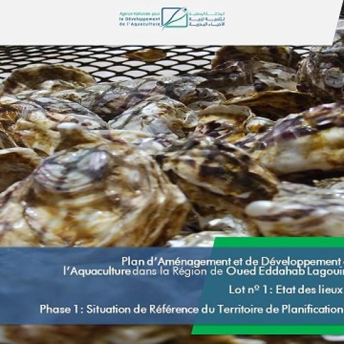 CETECIMA-CTAQUA presentan la primera fase del Plan de Ordenación de la Acuicultura de la región de Oued Eddahab Lagouira