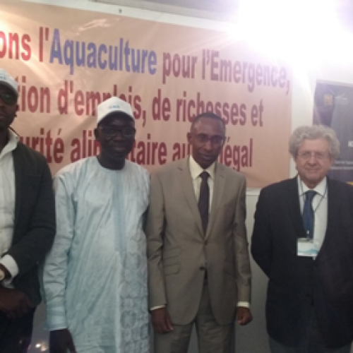 CETECIMA participa en el Salón Marítimo de Dakar