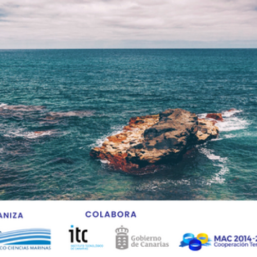 CETECIMA organiza la Jornada de Seguridad en playas en colaboración con el ITC
