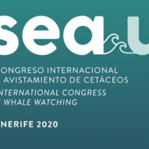 CONGRESO INTERNACIONAL DE AVISTAMIENTO DE CETÁCEOS SEAU, del 11 al 27 de noviembre.