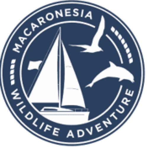 Nace la experiencia Macaronesia Wildlife Adventure del Proyecto Nauticom