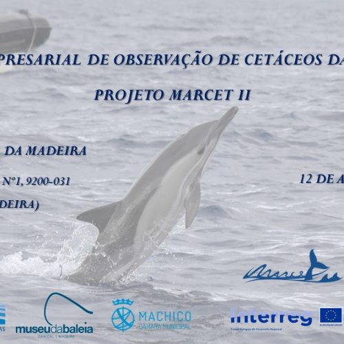 CETECIMA coordina el “Encuentro empresarial de avistamiento de cetáceos en la Macaronesia” de Madeira