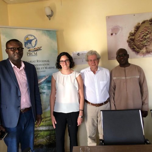 CETECIMA realiza reuniones de trabajo con socios y colaboradores del proyecto ECOTOUR en Senegal