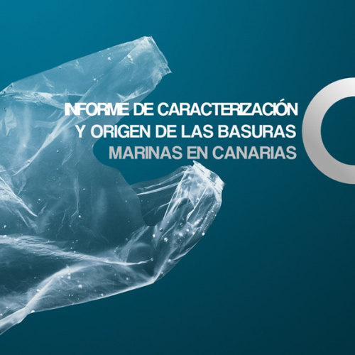CETECIMA publica un Informe de caracterización y origen de las basuras marinas en Canarias realizado en el marco del proyecto OCEANLIT