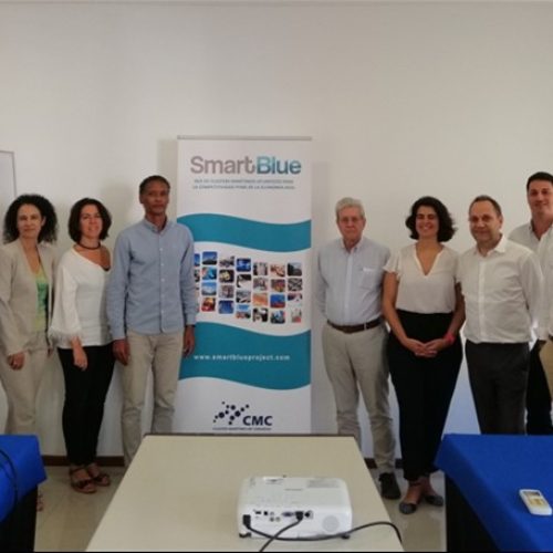 CETECIMA organiza y participa en el Webinar sobre “Basuras marinas en Canarias” en el marco del proyecto OCEANLIT