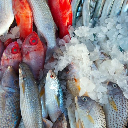Raw fish on market counter